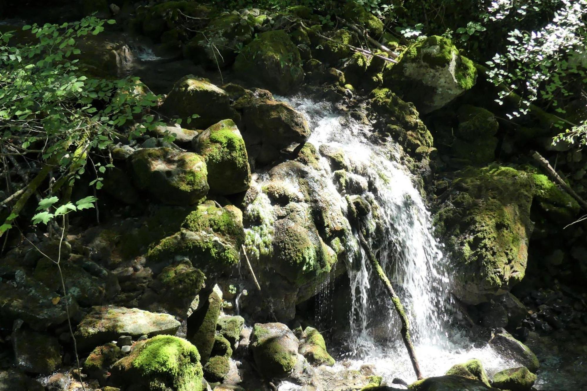 House By The Stream - Happy Rentals Avce エクステリア 写真