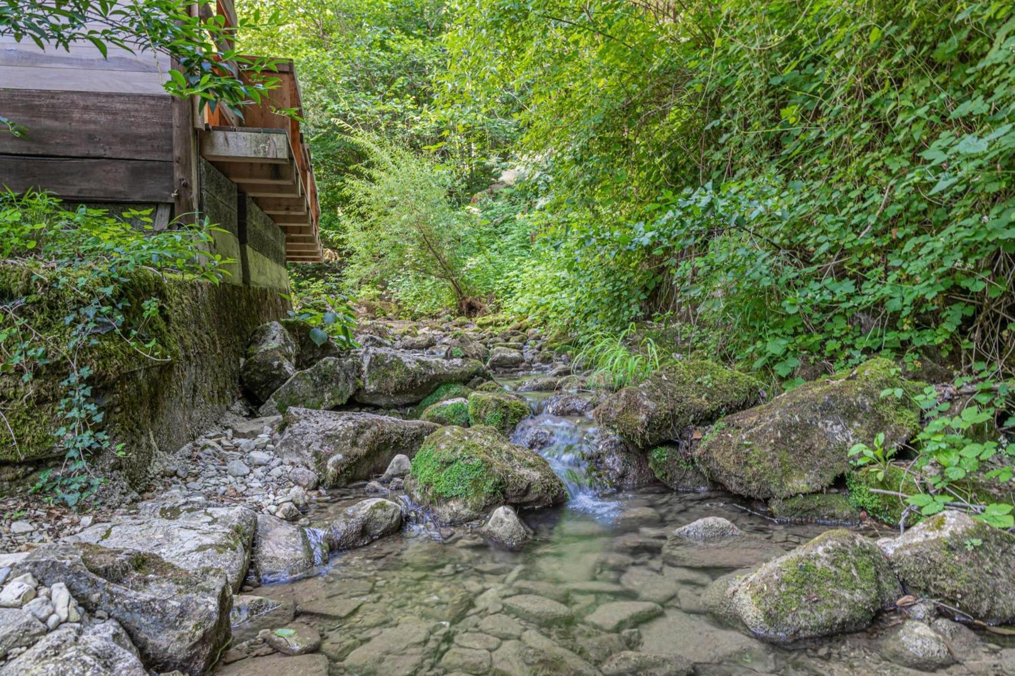 House By The Stream - Happy Rentals Avce エクステリア 写真