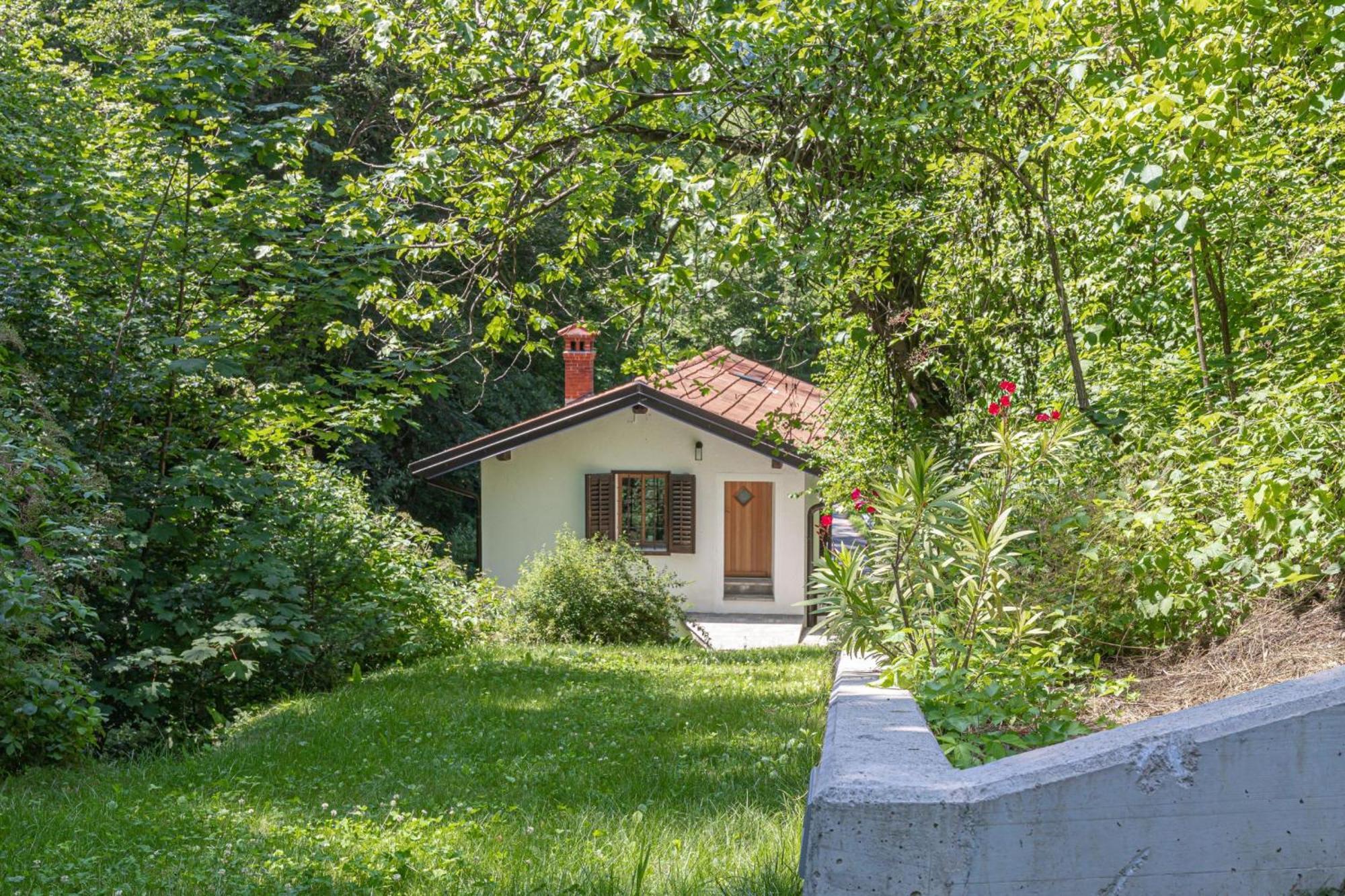 House By The Stream - Happy Rentals Avce エクステリア 写真